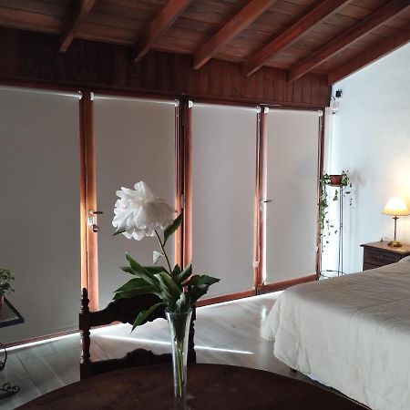 Cabana Monoambiente De Descanso Y Relax En Zona Barrio La Florida Pet Friendly Мар-дель-Плата Екстер'єр фото